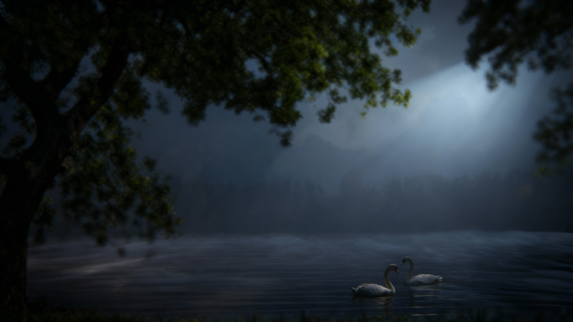 Swan Lake